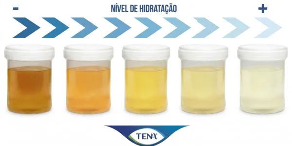 nível de hidratação e cor da urina